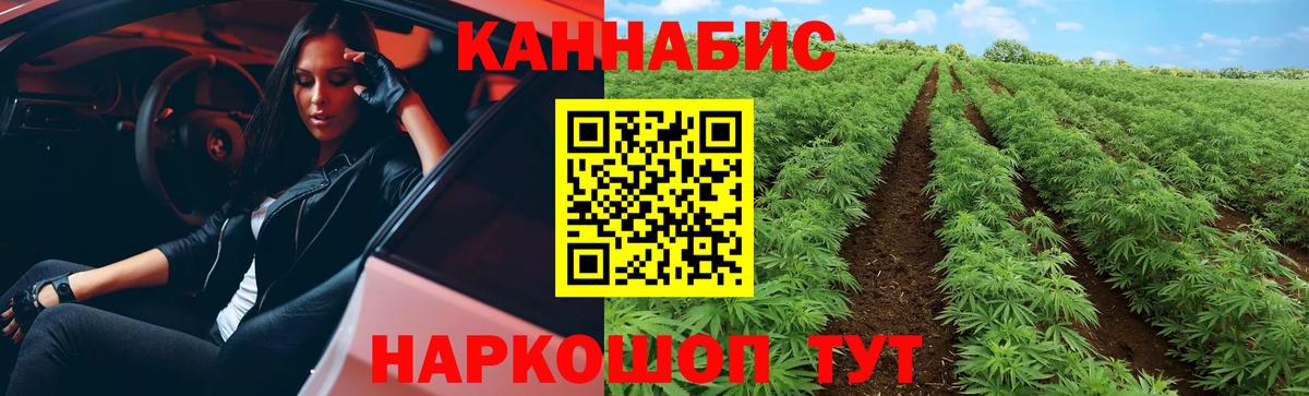 Канабис план  Каннабис VHQ  Вход с VPN  Конопля семена  Бошки Шишки Bruce Banner  Старая Купавна 